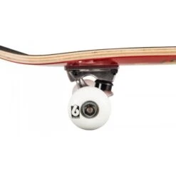 Birdhouse Chicken Mini Complete Skateboard -Roller Skates Store chicken203 500x500 0